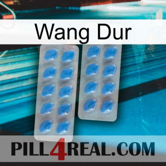 Hard Wang 23